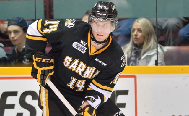 zacha_sarnia1_672x412